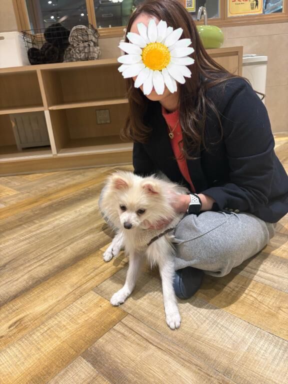 萌え