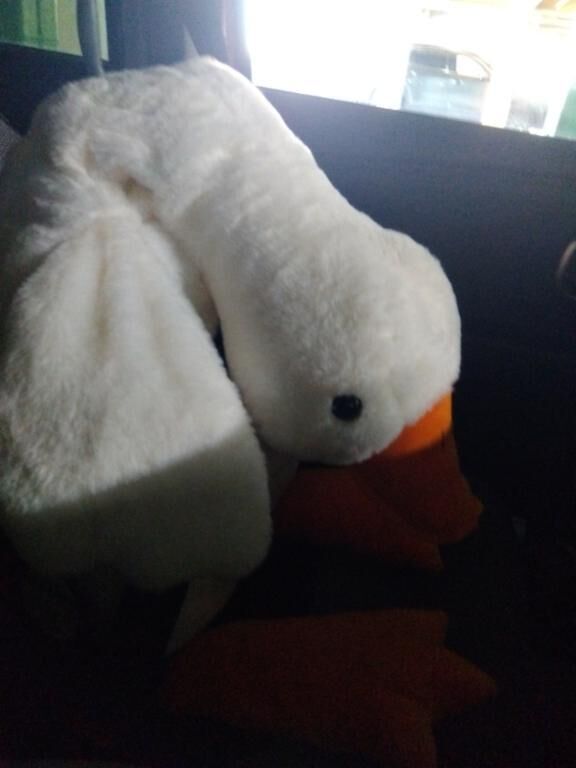 取ったー！
