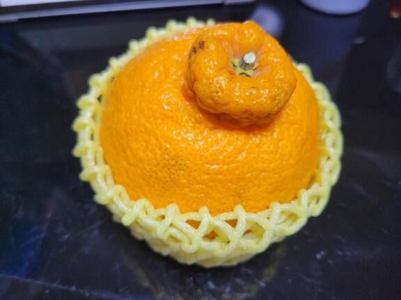 &#127804;デコポン&#127804;