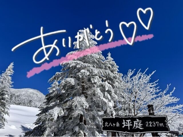 お礼デス