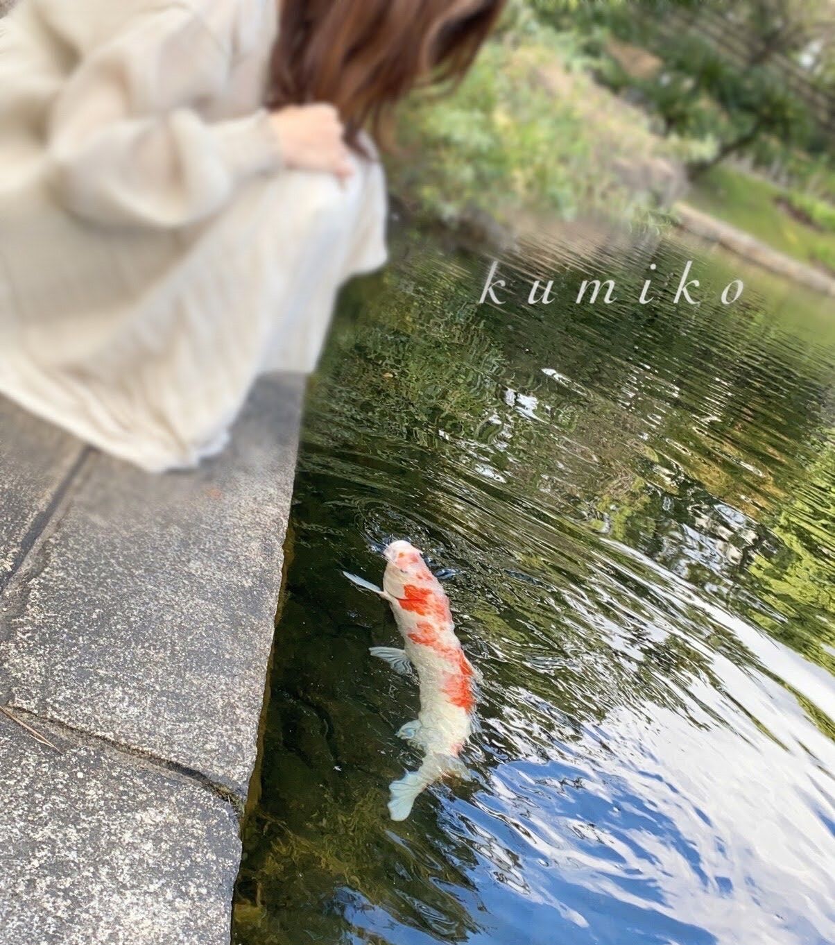 本日のお礼です  1