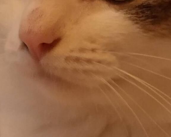 あぁ&#x301C;あ