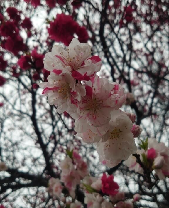 おはようございます&#9825;