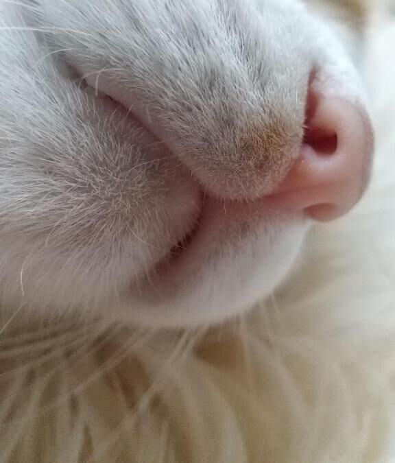 徒然なるままに&#9825;