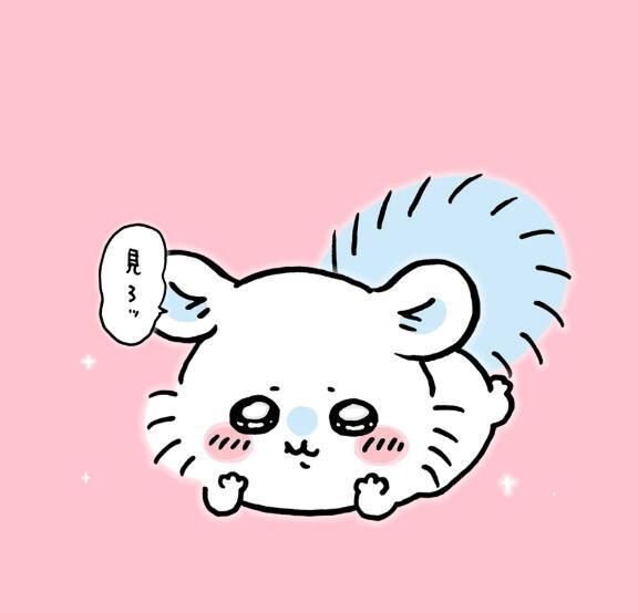 &#128008;