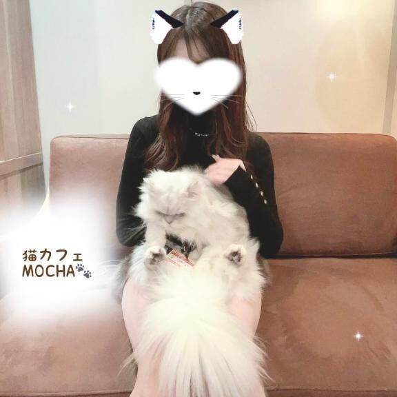 懶