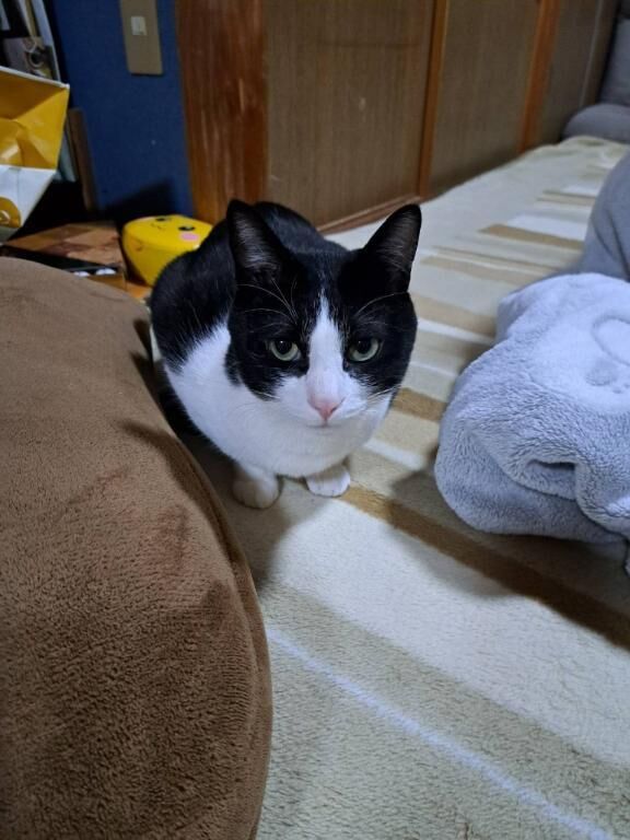 やっと会えるー！