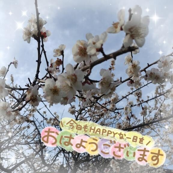 おはようございます&#128522;