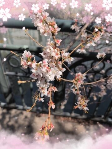 明日&#9825;出勤します(\,\,&#7447; &nbsp;&#811;&#7447;\,\,)&#9825;&#8902;*