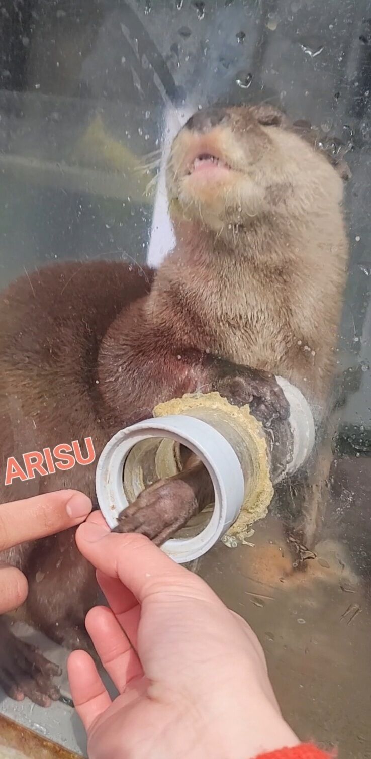 夜は肌寒し〜