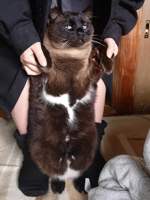 かわいー！！