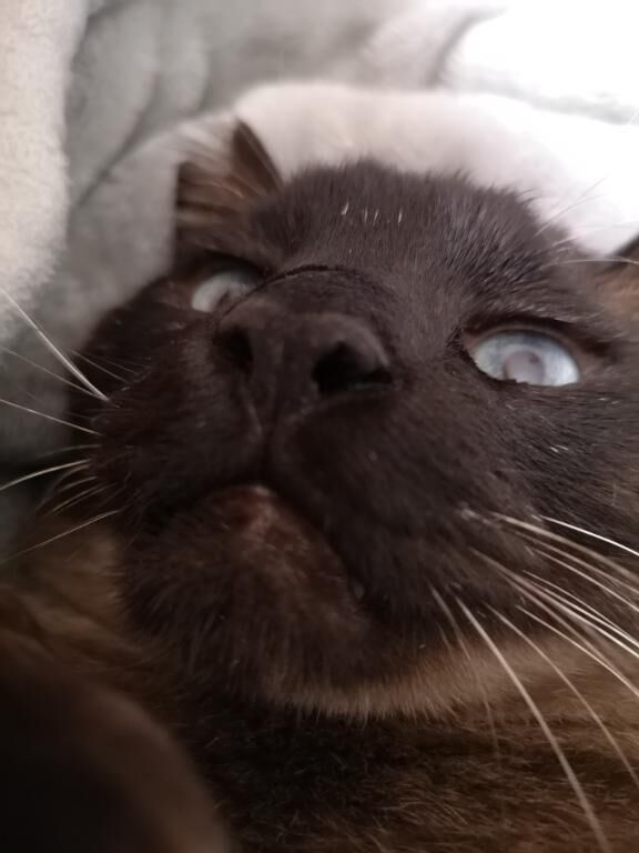 起きたァ