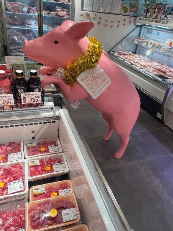 寒い寒い