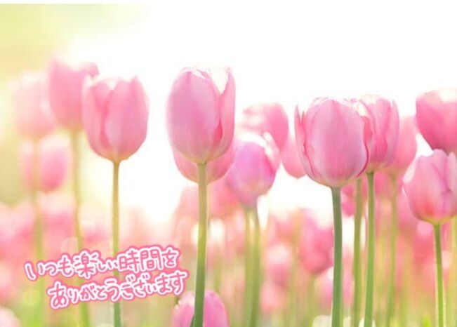 おはようございますp(^^)q