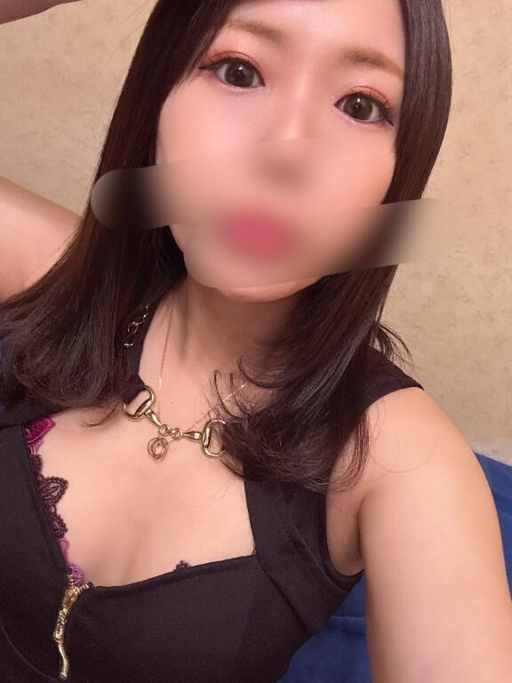 本日のご案内