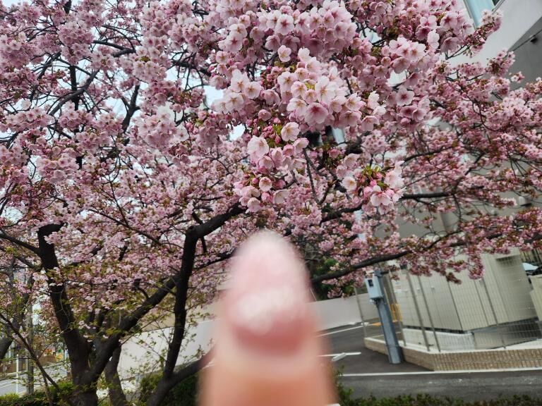 ご予約ありがとう