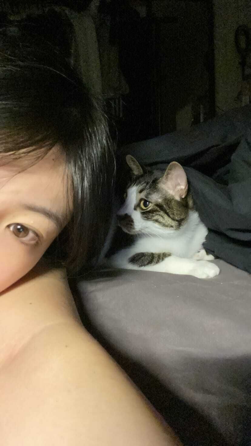 にゃーん&#9825;しゅ
