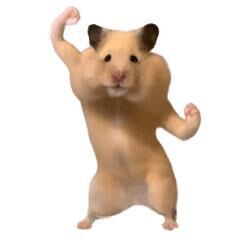 ねえねえ