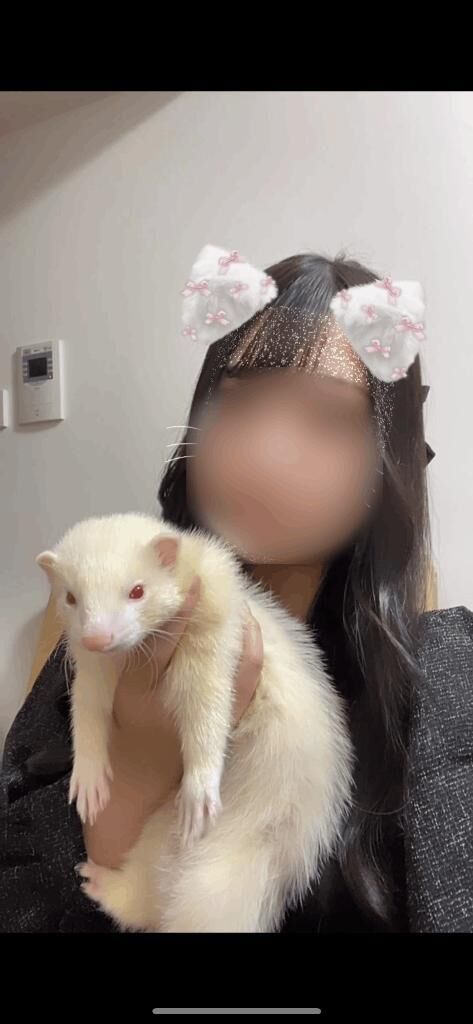 [お題]from:ディマンシェさん