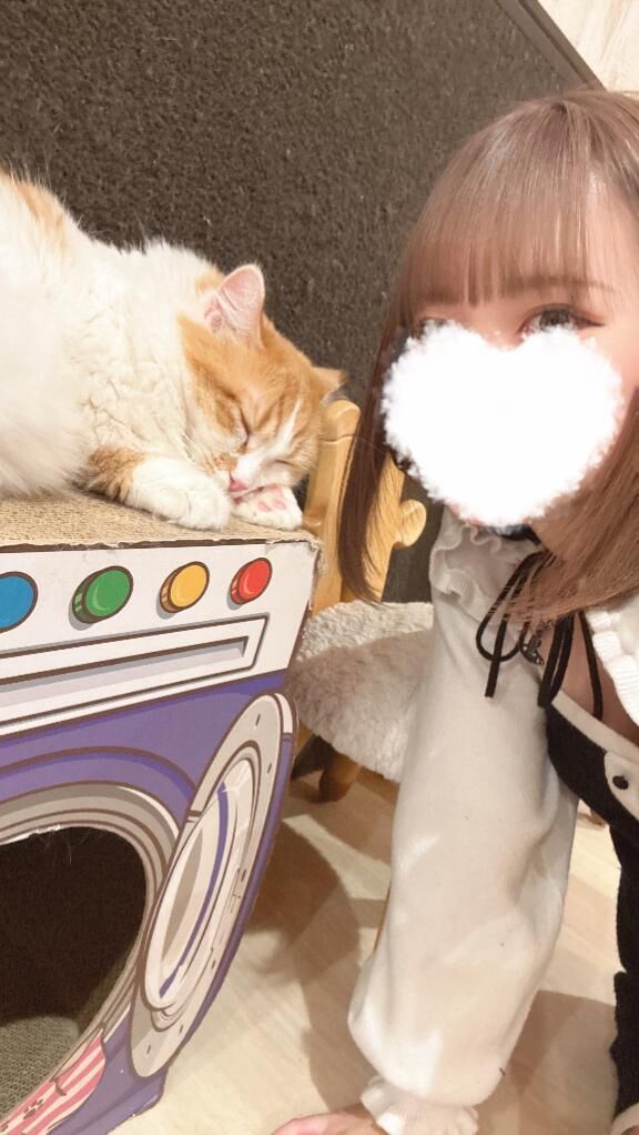 おやすみにゃん