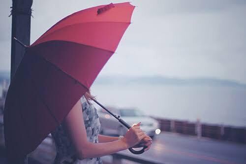 雨