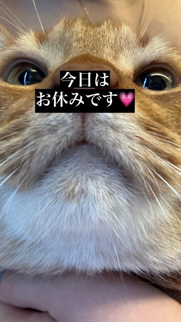 モンハンに捧げた1日
