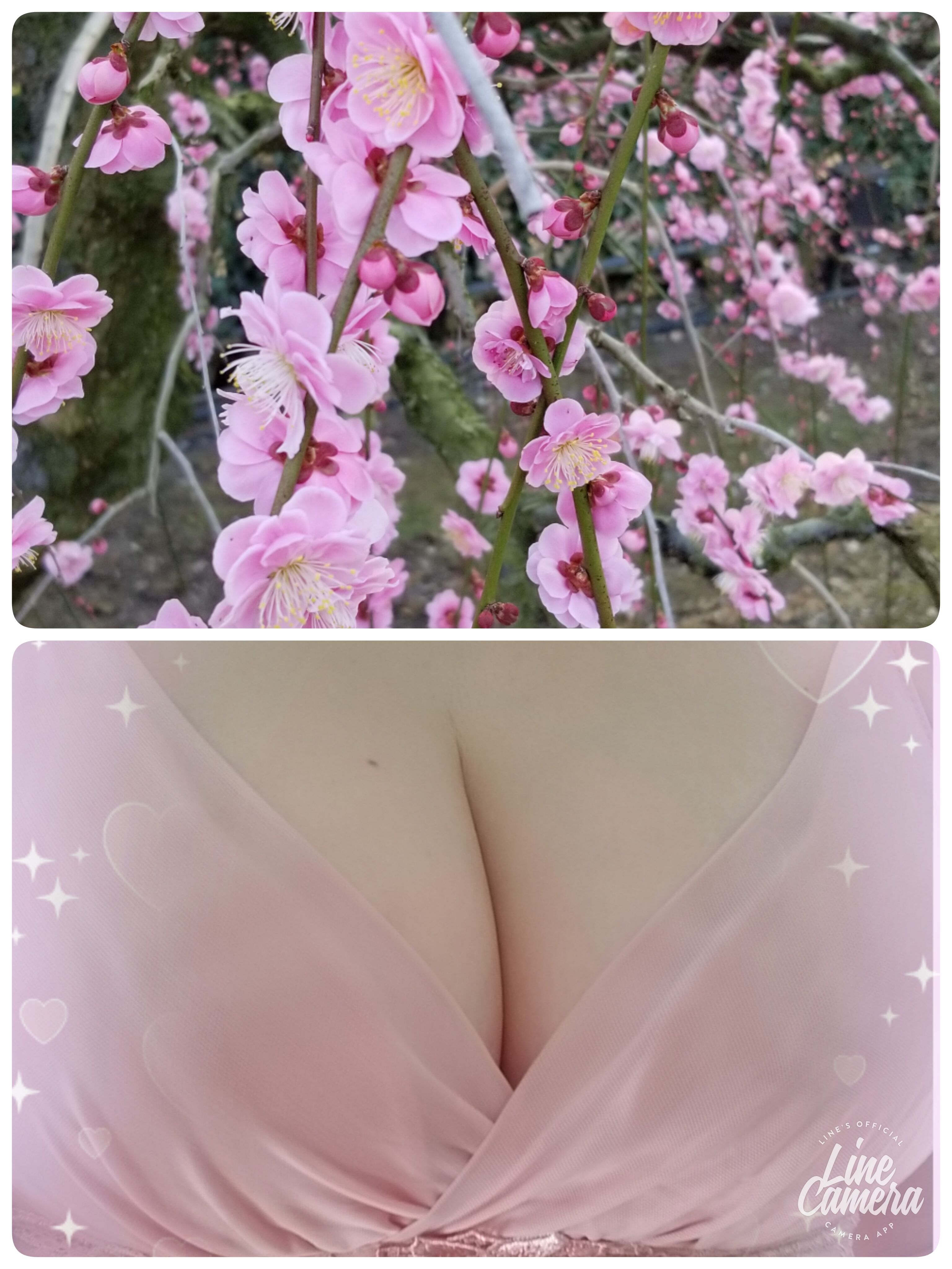 おはよう&#127800;
