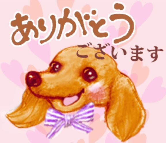 P指様、ありがとう