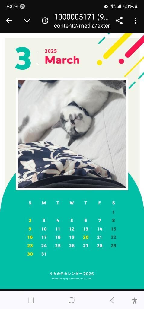 こんばんは