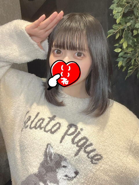 ナマコ食べたい