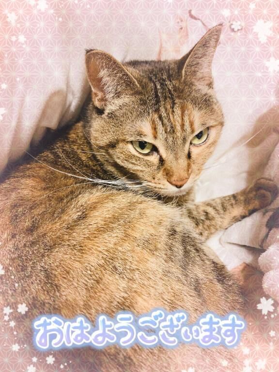 リナの癒し&#x301C;&#10084;&#65039;
