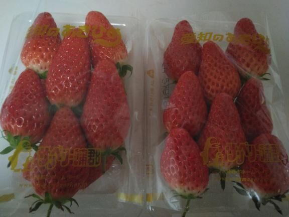 こんにちは