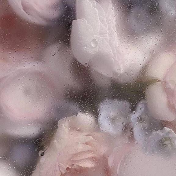 ♡会いたい♡