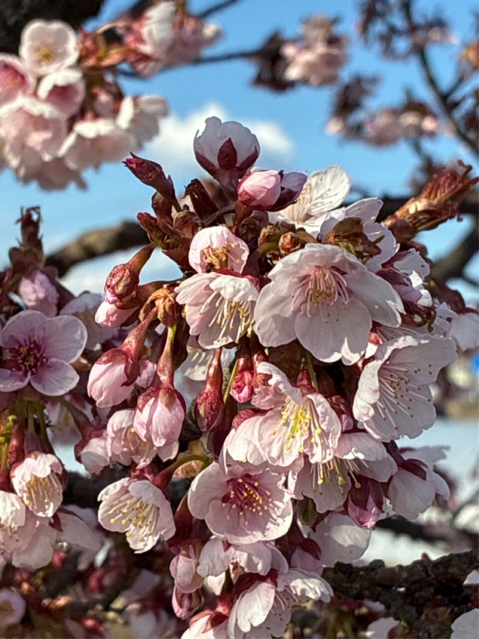 今日のありがとうです☆