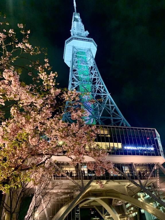 桜♡