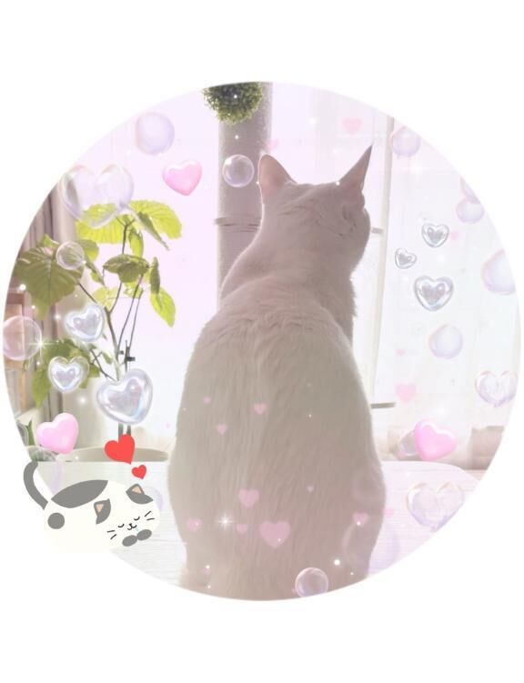 おはようございます