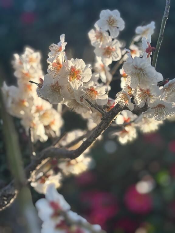 こんにちは&#9825;&#9825;