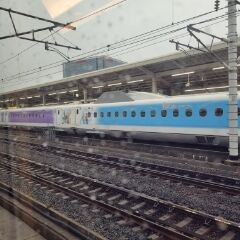 こはる便り・・