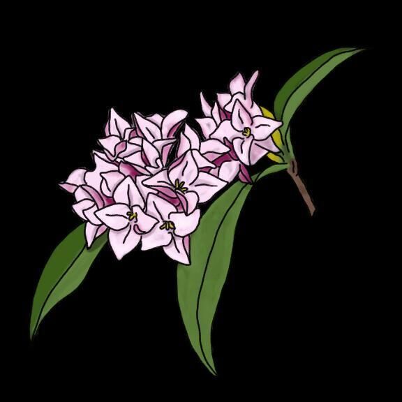 3月19日(水) 17時&#x301C;　殿方様&#9825;
