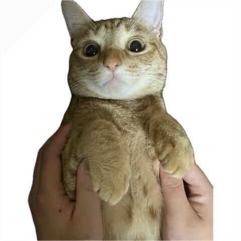 風