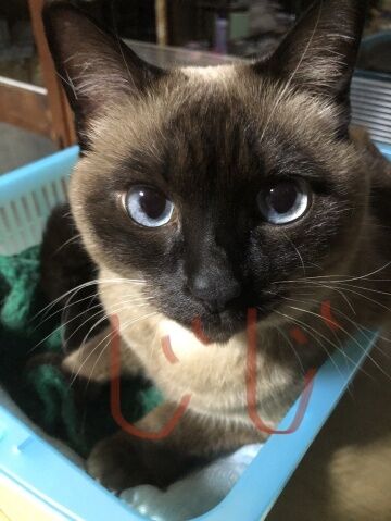 おはようございます