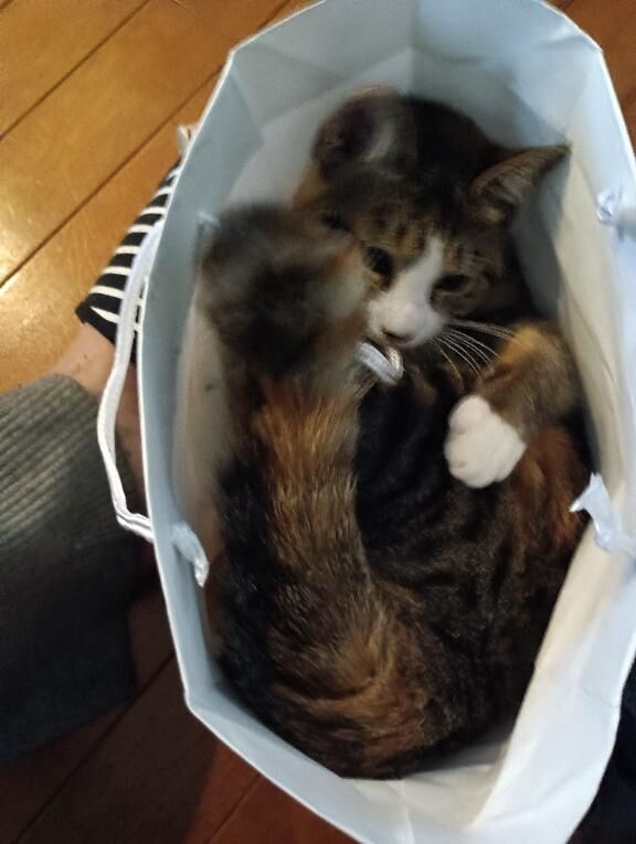 たまやん&#9825;