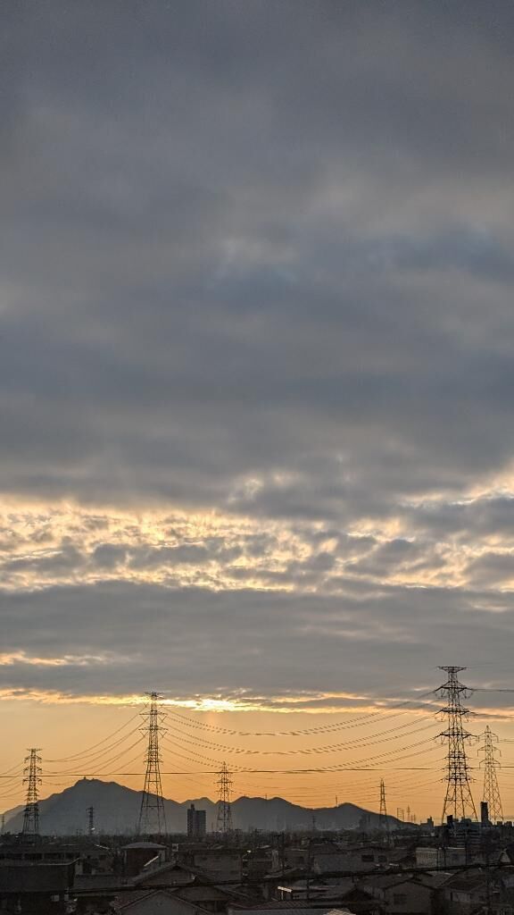 今朝は、