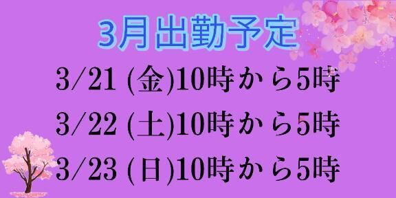 今後の予定&#10083;&#65039;
