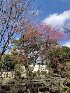 本日も有難うございました(^^)