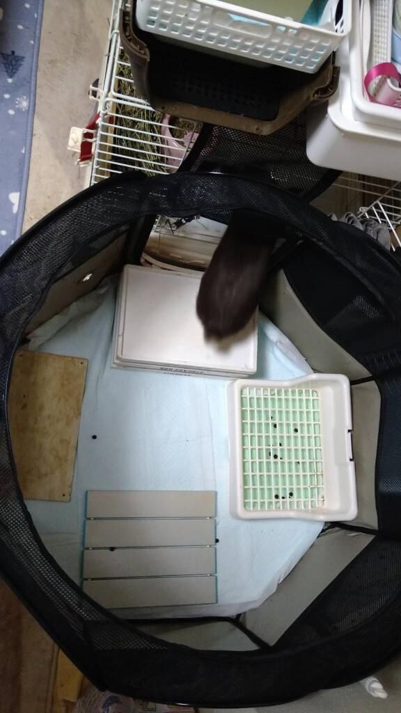 お早うございます