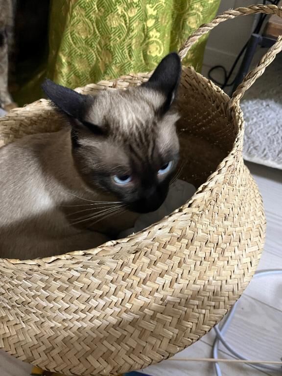 おはようございます