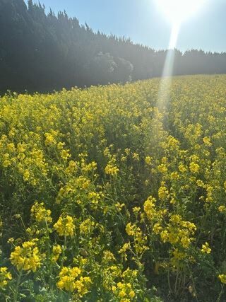 &#9728;&#65038;G&#1413;&#1413;&#1386; &#5616;&#1413;&#638;&#1394;&iacute;&#1394;&#1409;&#9728;&#65038;