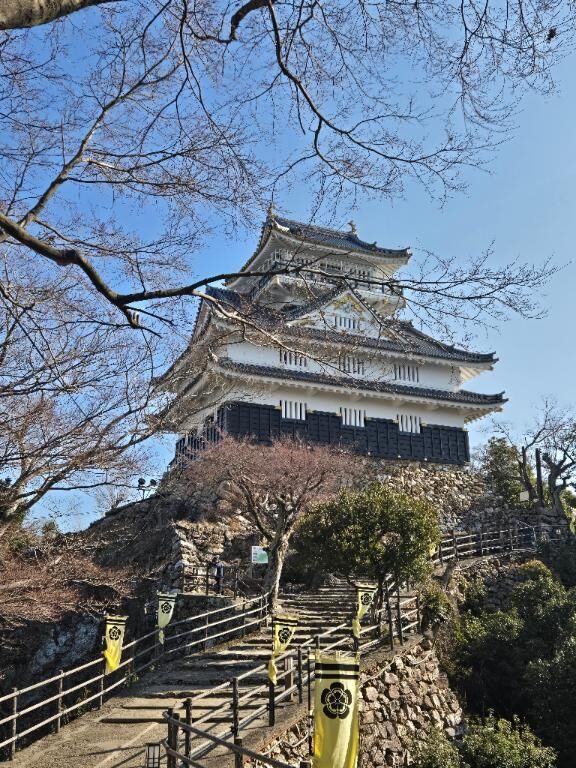 朝トレ