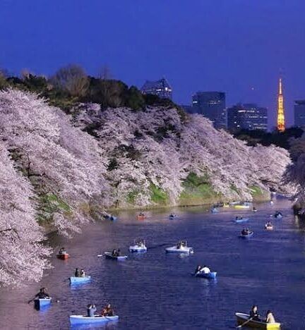 ありがとう